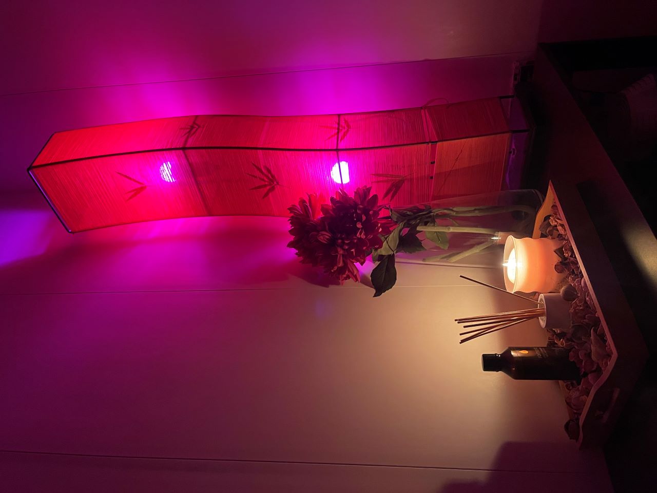 Detalle de decoración zen y ambiente tranquilo en el centro